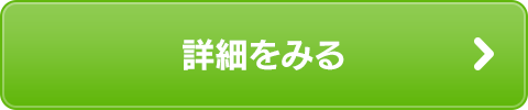 詳細をみる