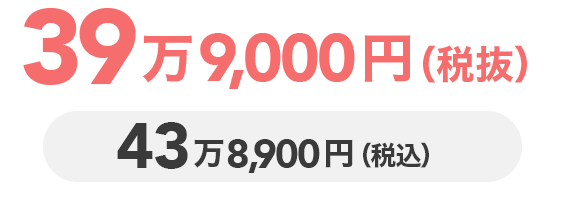 39万9,000円(税抜) 43万8,900円(税込)